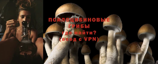 дурь Нефтекумск