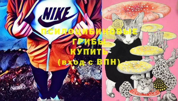 мяу мяу мука Нея