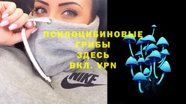 дурь Нефтекумск