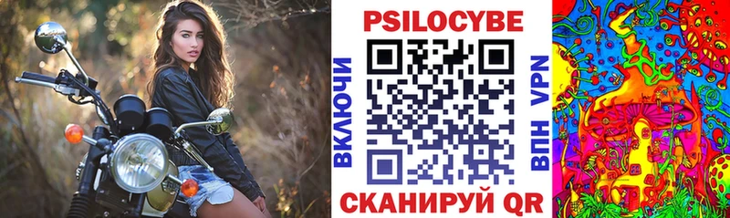 Купить где  Западная Двина  Галлюциногенные грибы Magic Shrooms 